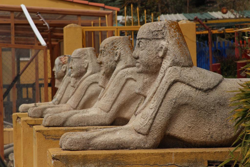 Gasthuis Isis Cuenca Arcas